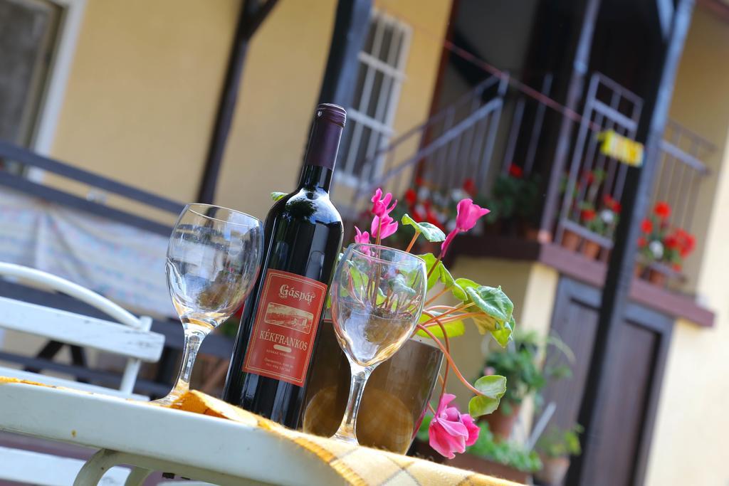 Villa Ricz Palic Luaran gambar
